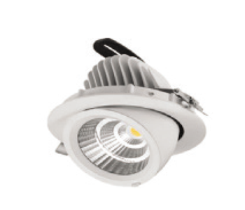 LED ZOOM LIGHT